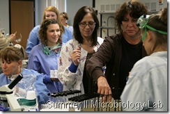 summer microbiology lab